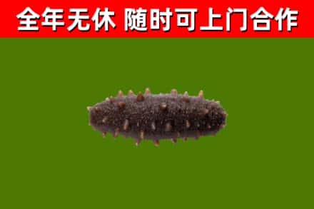 沾益区烟酒回收干海参.jpg